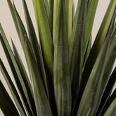 Detail van de spitse groene bladeren van de kunstyucca van PTMD