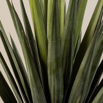 Detail van de spitse groene bladeren van de kunstyucca van PTMD
