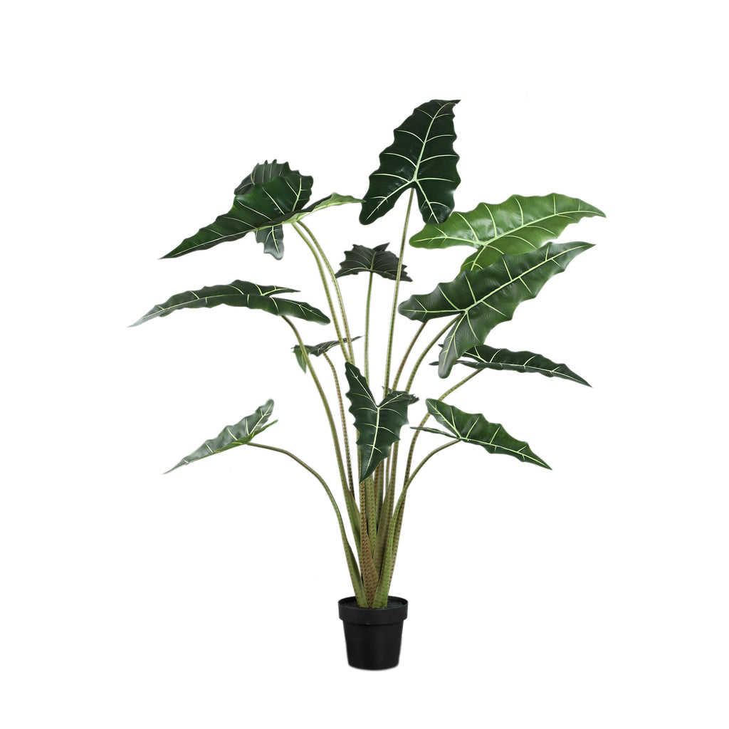 Leaves Plant Green Alocasia Plant In Pot L 117x137x140cm PTMD - Kunstplant - PTMD - livinglovely.nl