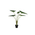 Leaves Plant Green Alocasia Plant In Pot S 60x76x80cm PTMD - Kunstplant - PTMD - livinglovely.nl