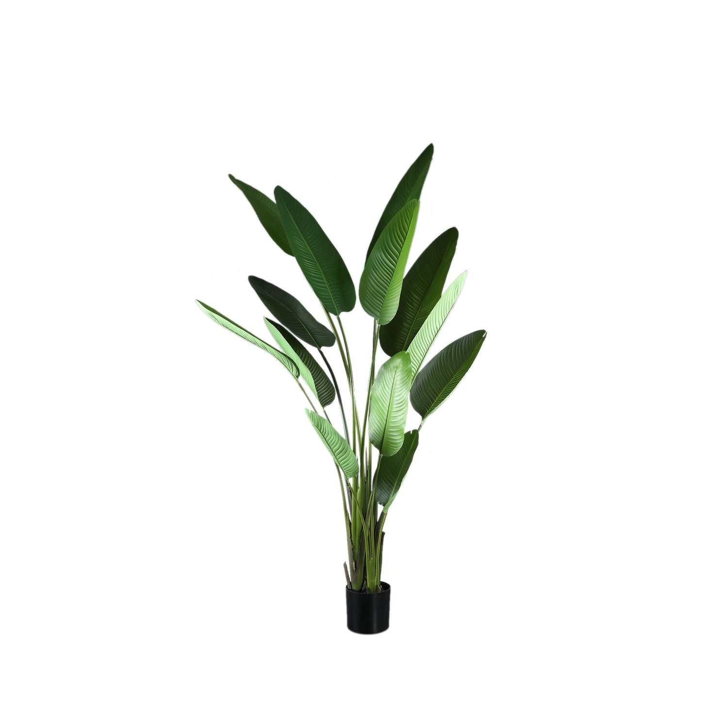Leaves Plant Green PE Real Touch Strelitzia L 110x63x235cm PTMD - Kunstplant - PTMD - livinglovely.nl