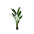 Leaves Plant Green PE Real Touch Strelitzia L 110x63x235cm PTMD - Kunstplant - PTMD - livinglovely.nl