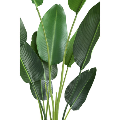 Leaves Plant Green PE Real Touch Strelitzia M 85x73x150cm PTMD - Kunstplant - PTMD - livinglovely.nl