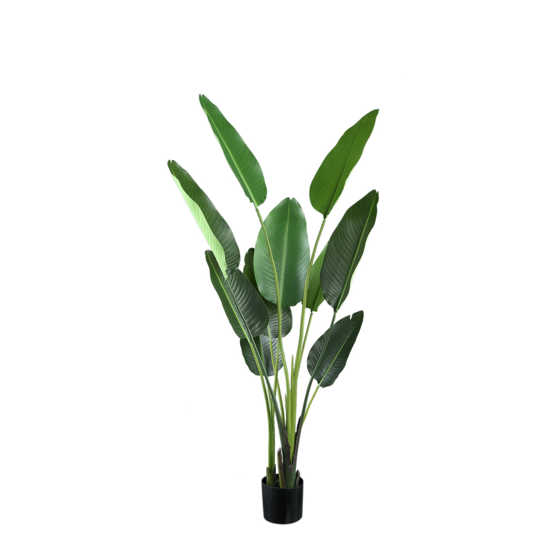 Leaves Plant Green PE Real Touch Strelitzia M 85x73x150cm PTMD - Kunstplant - PTMD - livinglovely.nl