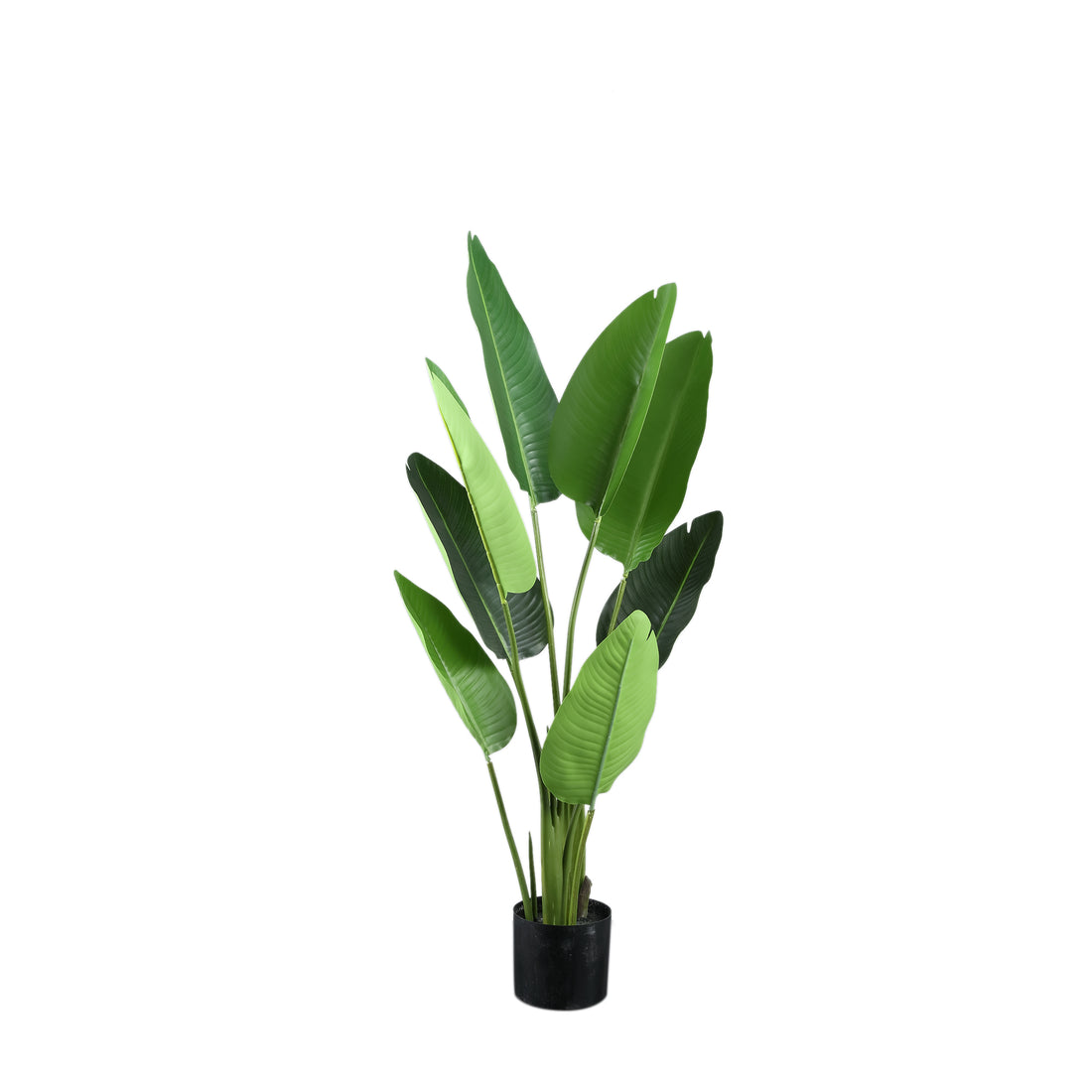 Leaves Plant Green PE Real Touch Strelitzia S 77x56x117cm PTMD - Kunstplant - PTMD - livinglovely.nl
