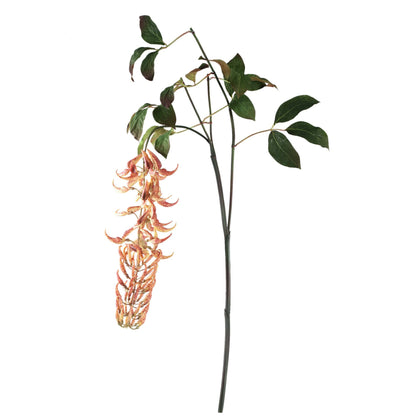 Leaves Plant Orange Strongylondon Spray van PTMD, oranje kunsttak met lange zijtakken van 150cm