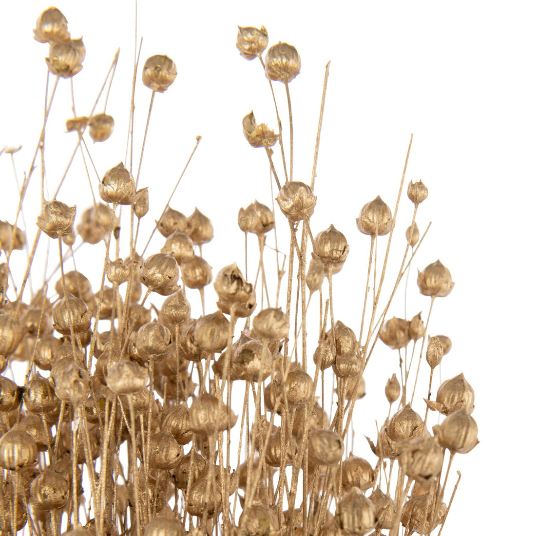 Linen Dry Flower Gold Colored - - J-Line - livinglovely.nl