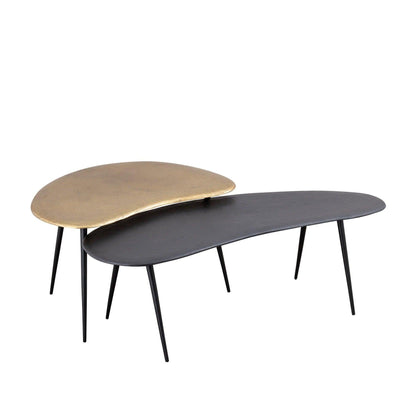 livinglovely.nl - Blaze Black Casted Alu Coffee Table Set van 2 PTMD - Salontafel - PTMD - livinglovely.nl