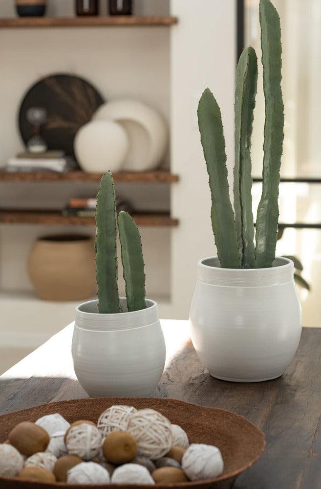 livinglovely.nl - Cactus In Pot Plastiek Groen Large Set van 3 - Kunstplant - J-Line - livinglovely.nl