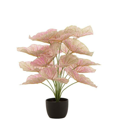 livinglovely.nl - Caladium In Pot Plastiek Licht Roze/Groen - Kunstplant - J-Line - livinglovely.nl