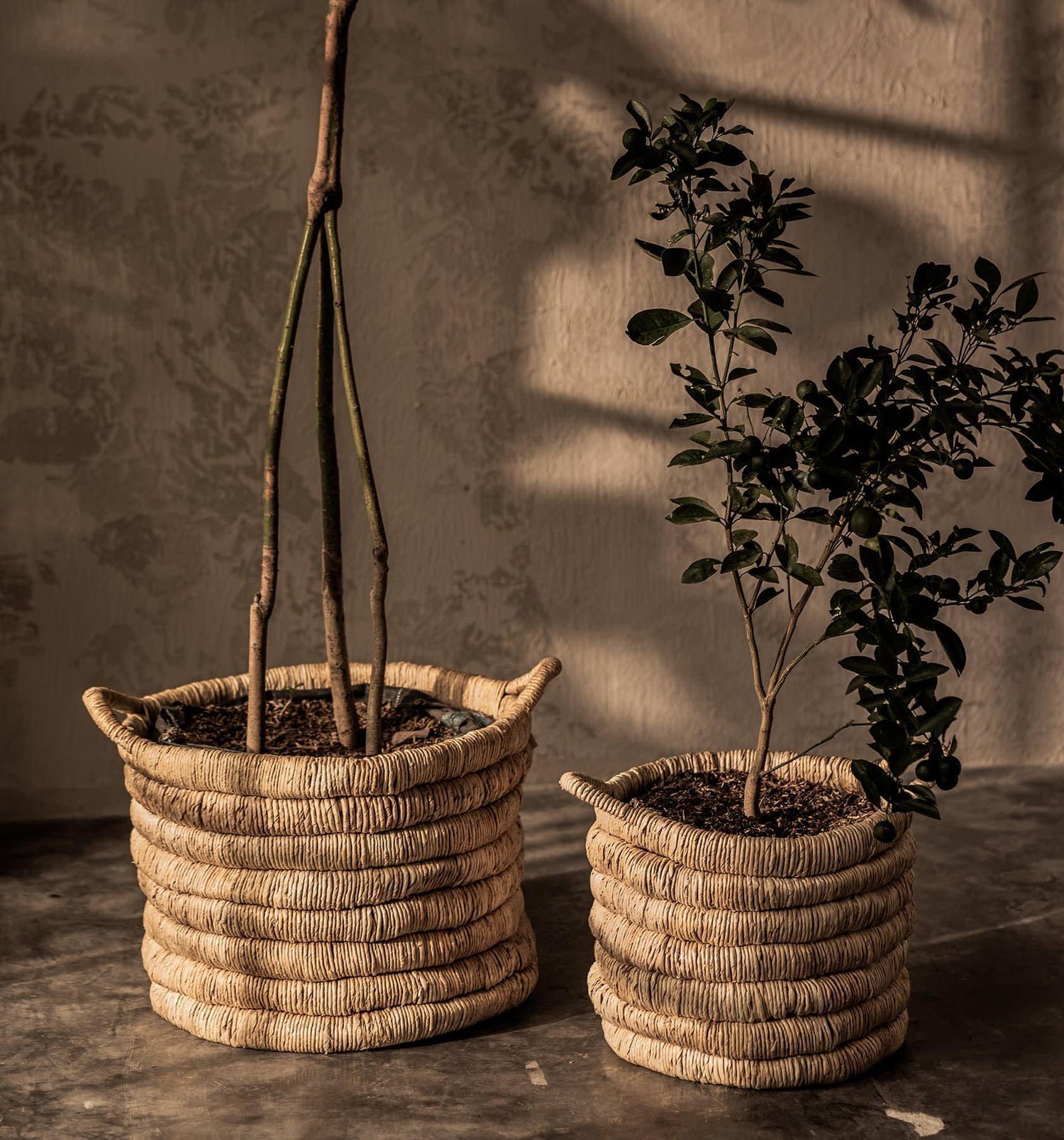 livinglovely.nl - Caterpillar Sago ronde mand dBodhi - - dBodhi - livinglovely.nl