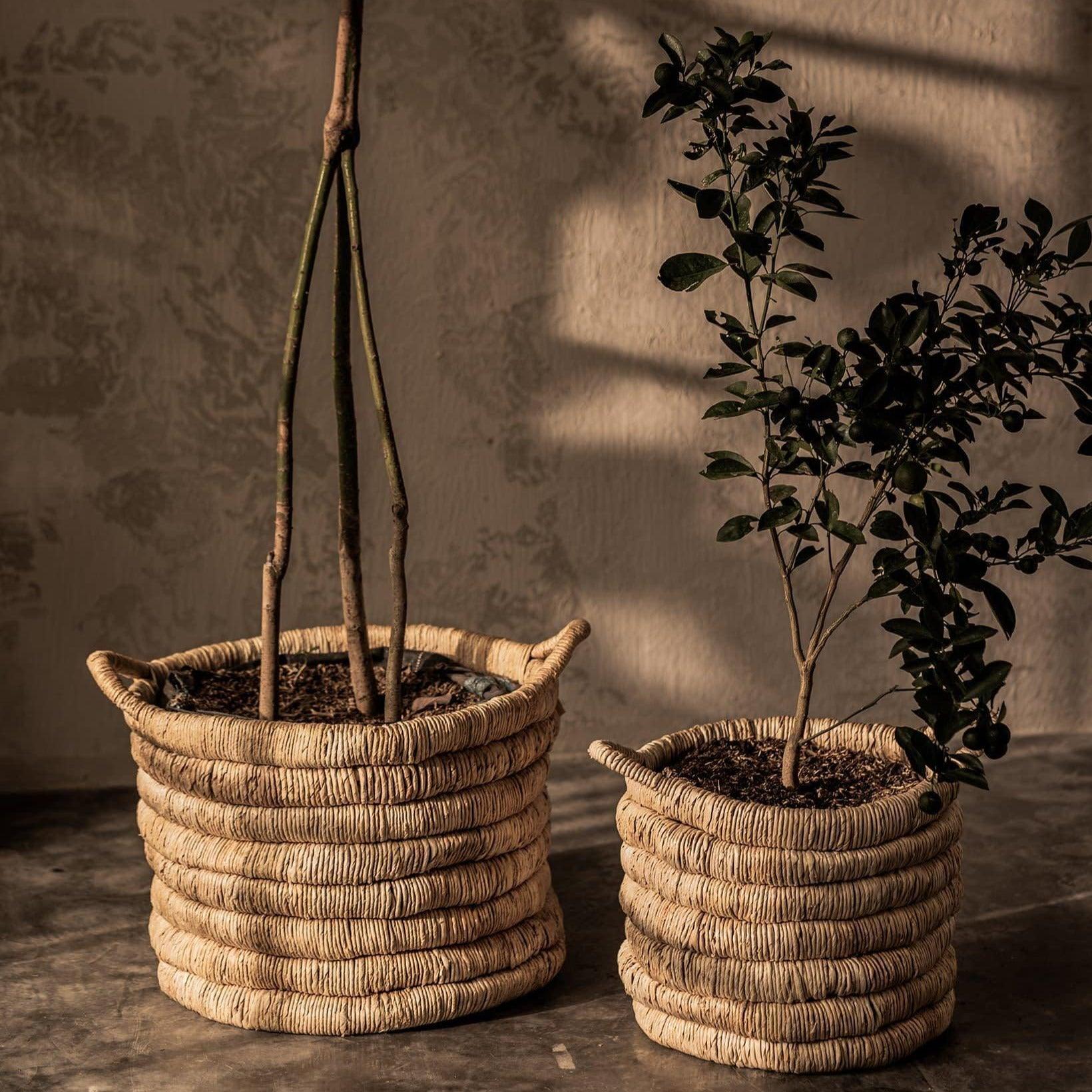 livinglovely.nl - Caterpillar Sago Ronde Mand dBodhi - Mand - dBodhi - livinglovely.nl