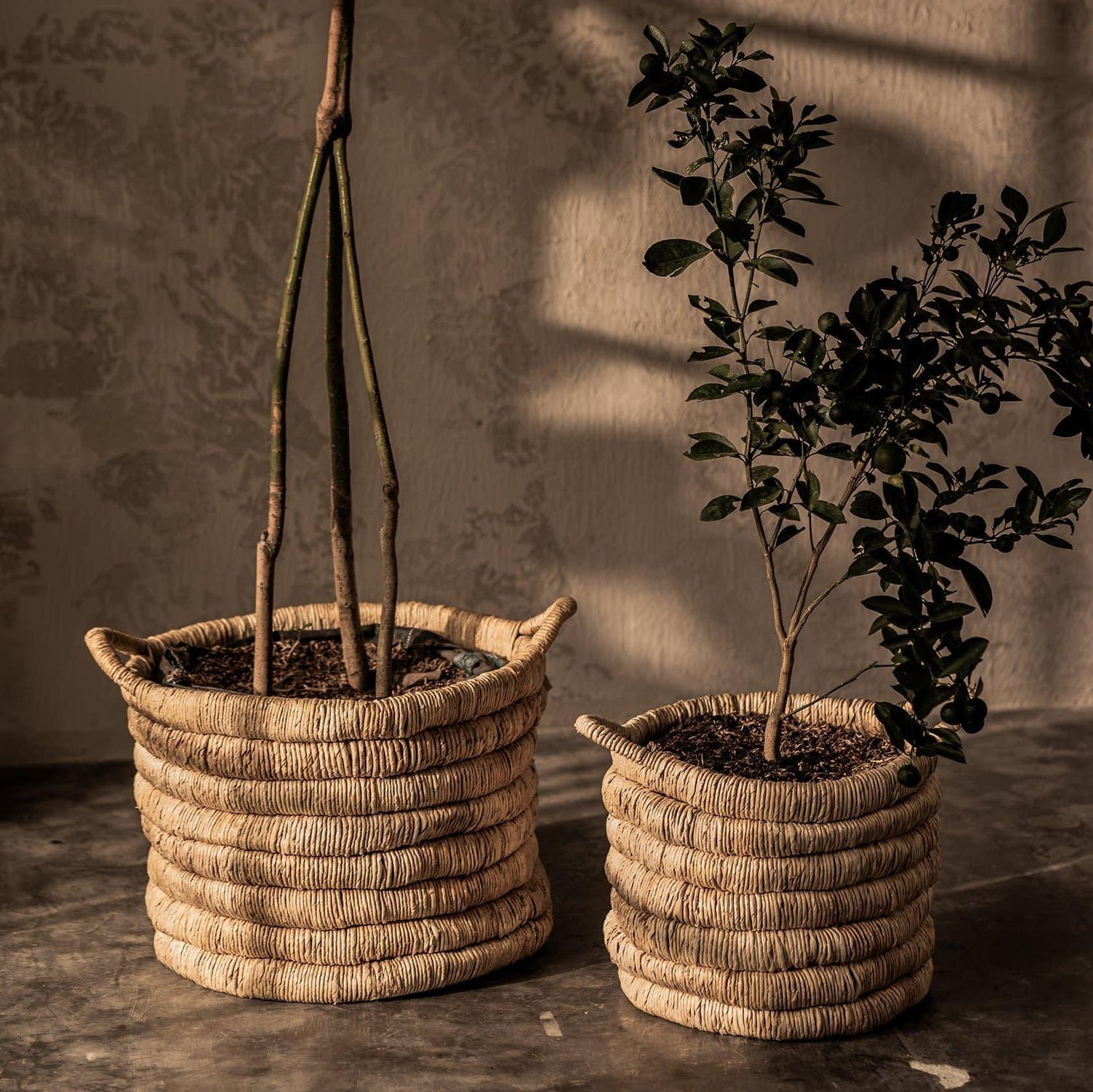 livinglovely.nl - Caterpillar Sago Ronde Manden Set van 2 dBodhi - Mand - dBodhi - livinglovely.nl