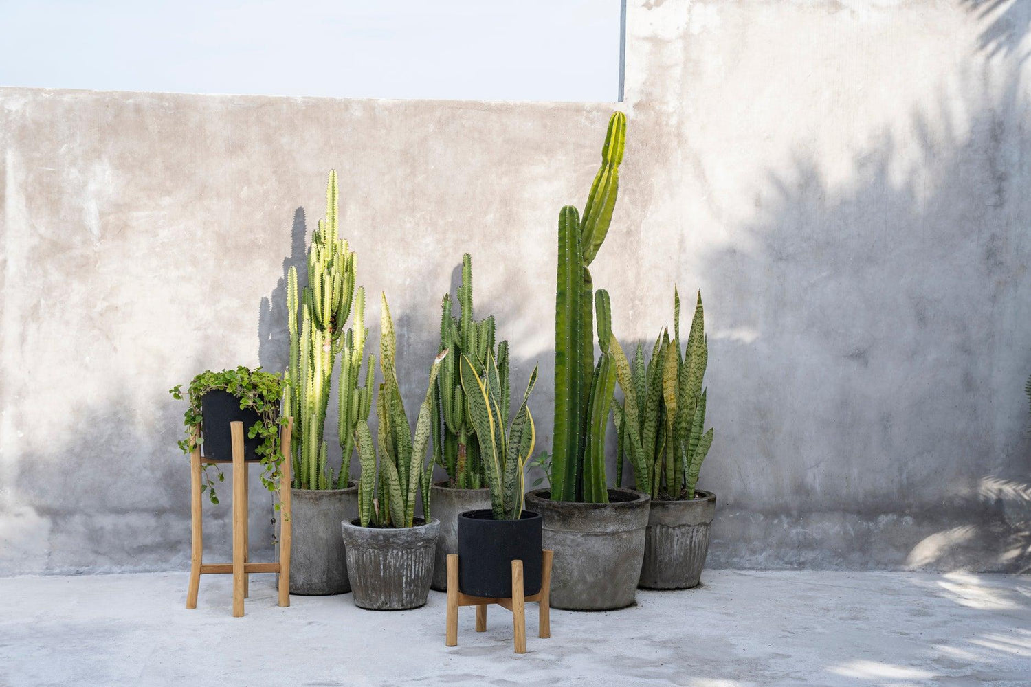 livinglovely.nl - De Charcoal Hoge Plantenbak - Zwart - Small - Pot - Bazar Bizar - livinglovely.nl