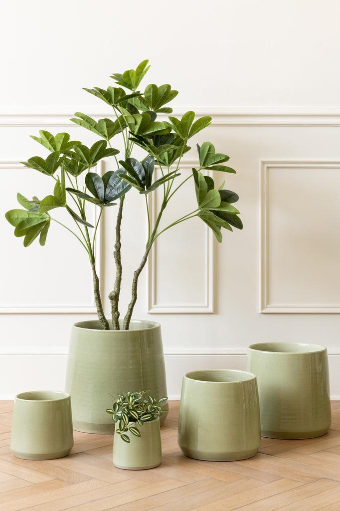 livinglovely.nl - Geldboom In Pot Plastiek Groen Small - Kunstplant - J-Line - livinglovely.nl