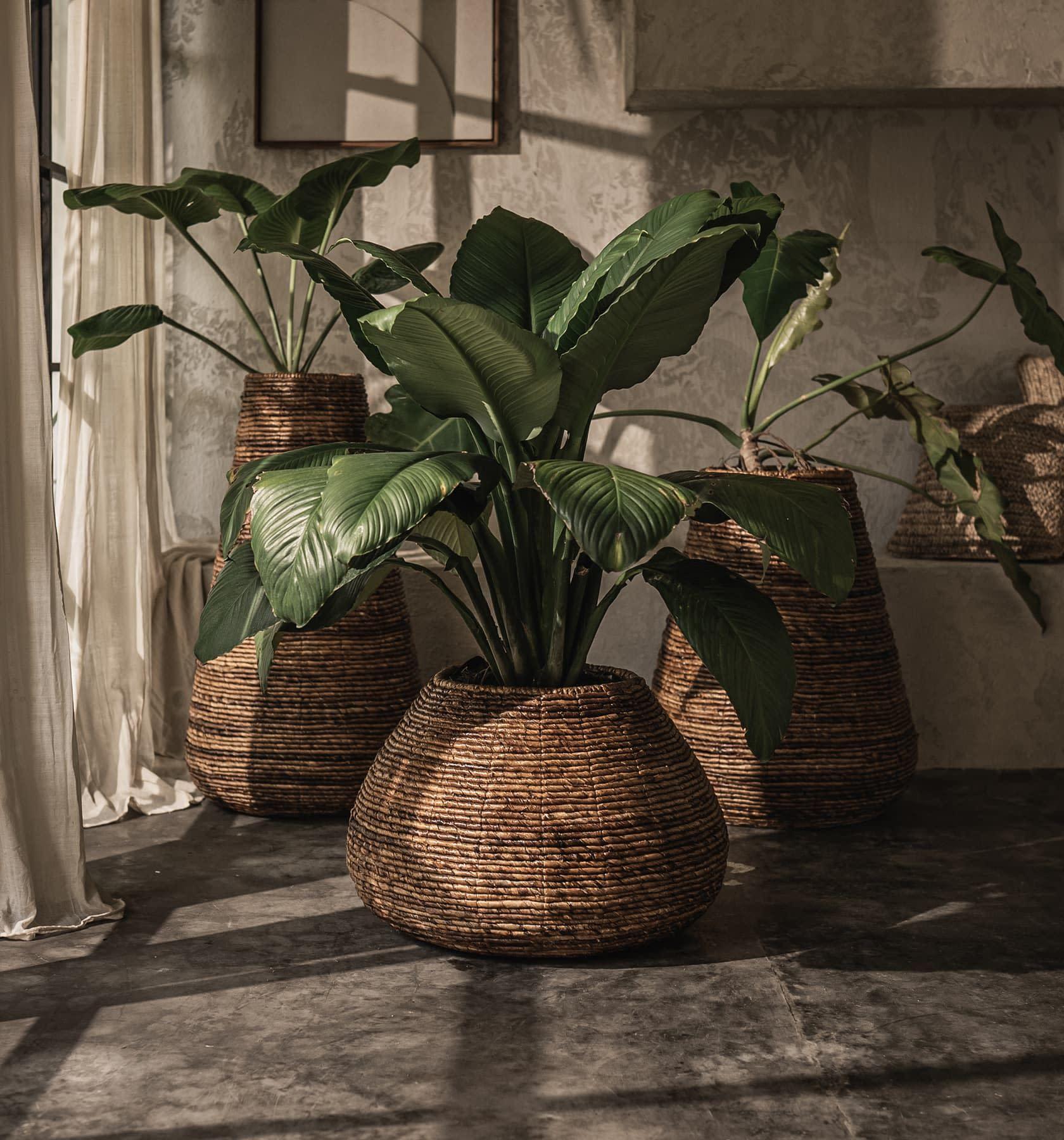 livinglovely.nl - Java Plantenbak Groot dBodhi - Pot - dBodhi - livinglovely.nl