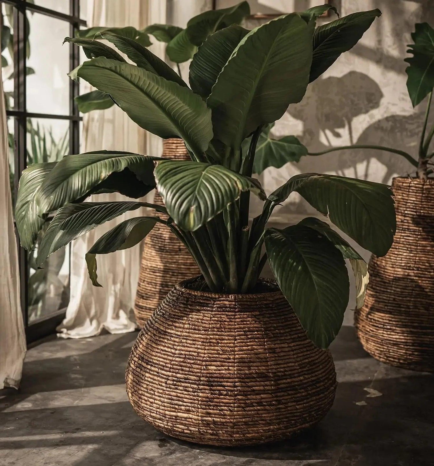 livinglovely.nl - Java Planter Ø60cmx41cm dBodhi - Pot - dBodhi - livinglovely.nl