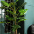 livinglovely.nl - Leaves Plant Green Philodendron in black pot PTMD - Kunstplant - PTMD - livinglovely.nl