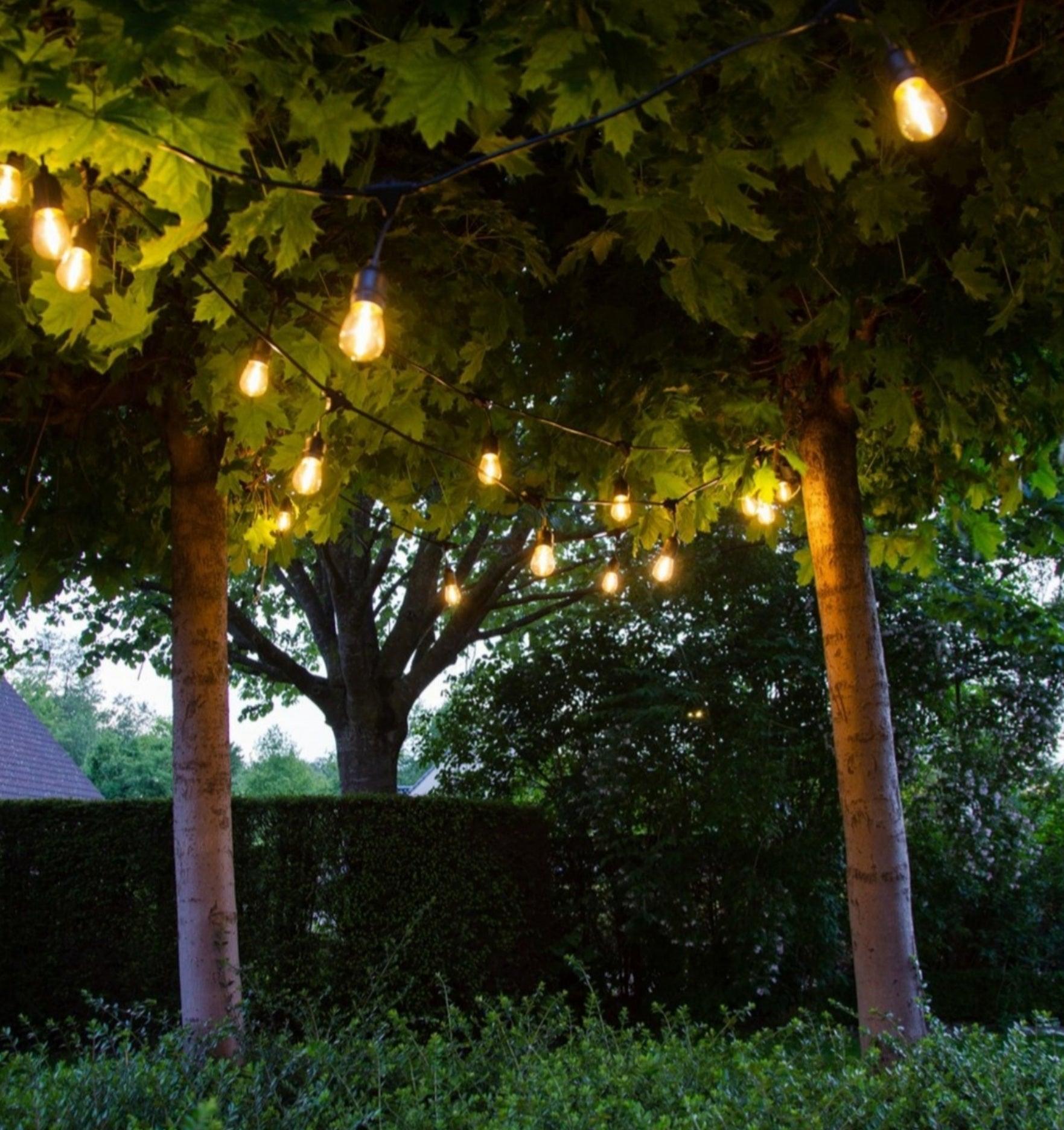 livinglovely.nl - Premium Patio Lights Pear Bulb - LEDR - Outdoor-verlichting - LEDR - livinglovely.nl