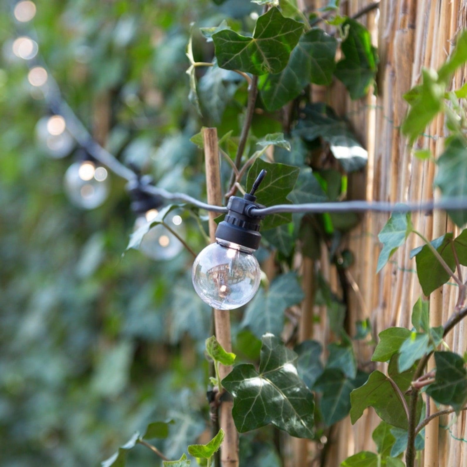 livinglovely.nl - Regular Patio Lights Round Bulb - LEDR - Outdoor-verlichting - LEDR - livinglovely.nl