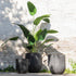 livinglovely.nl - Strelitzia Plastiek Groen Small - Kunstplant - J-Line - livinglovely.nl