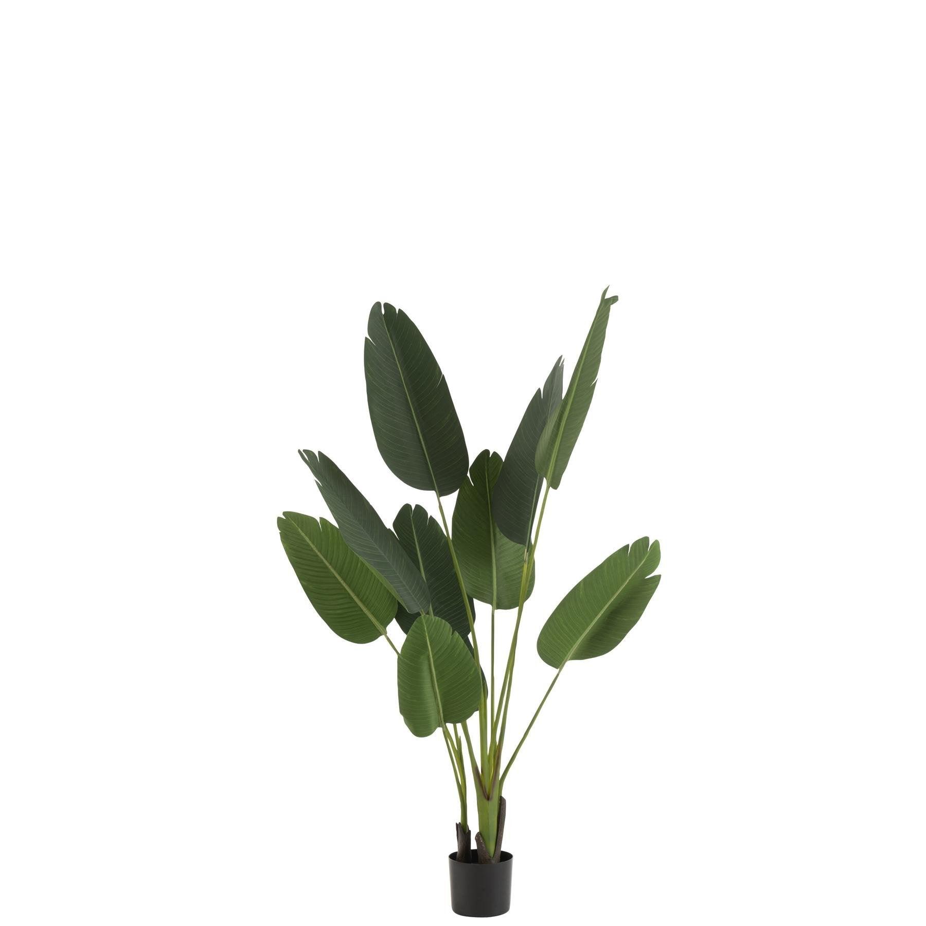 livinglovely.nl - Strelitzia Plastiek Groen Small - Kunstplant - J-Line - livinglovely.nl