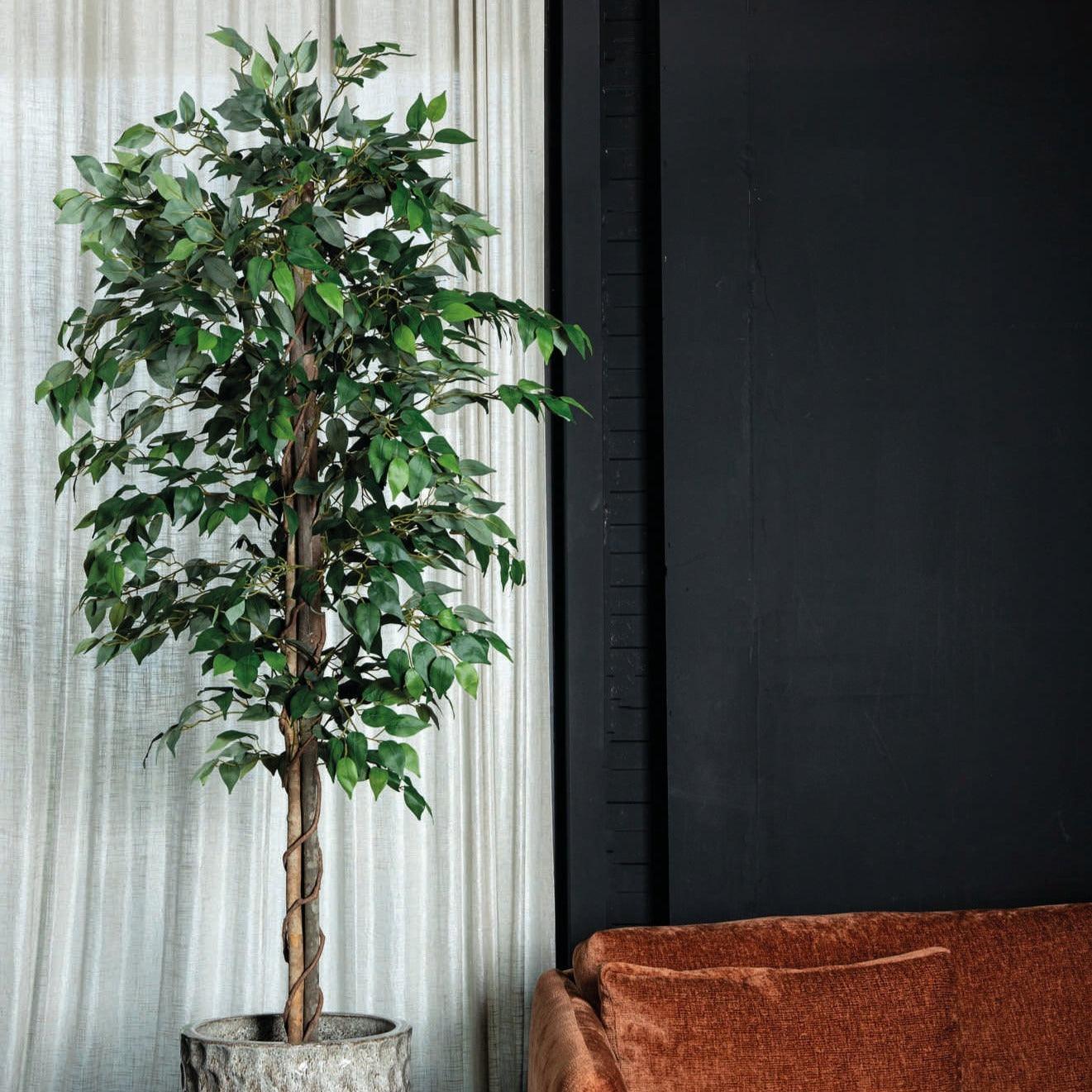 livinglovely.nl - Tree Green Banyan Tree in black pot PTMD - Kunstplant - PTMD - livinglovely.nl