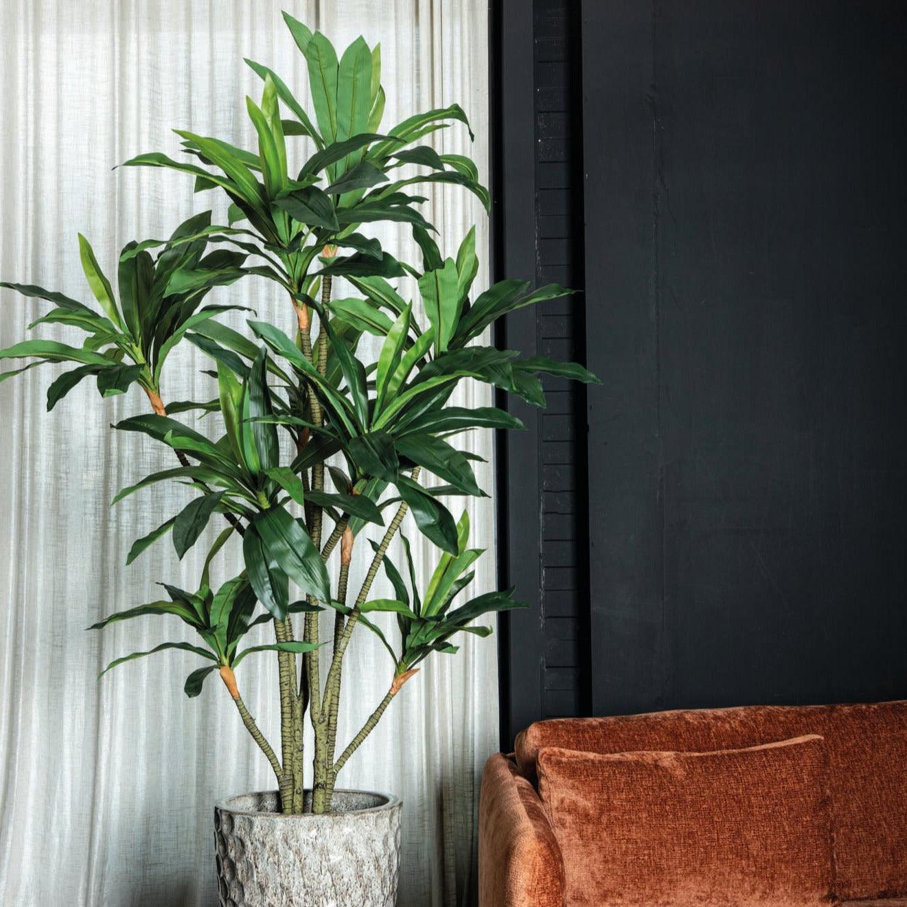 livinglovely.nl - Tree Green Dracaena in black pot PTMD - Kunstplant - PTMD - livinglovely.nl