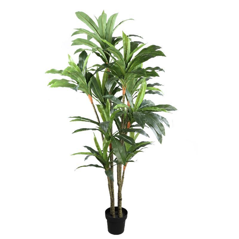 livinglovely.nl - Tree Green Dracaena in black pot PTMD - Kunstplant - PTMD - livinglovely.nl