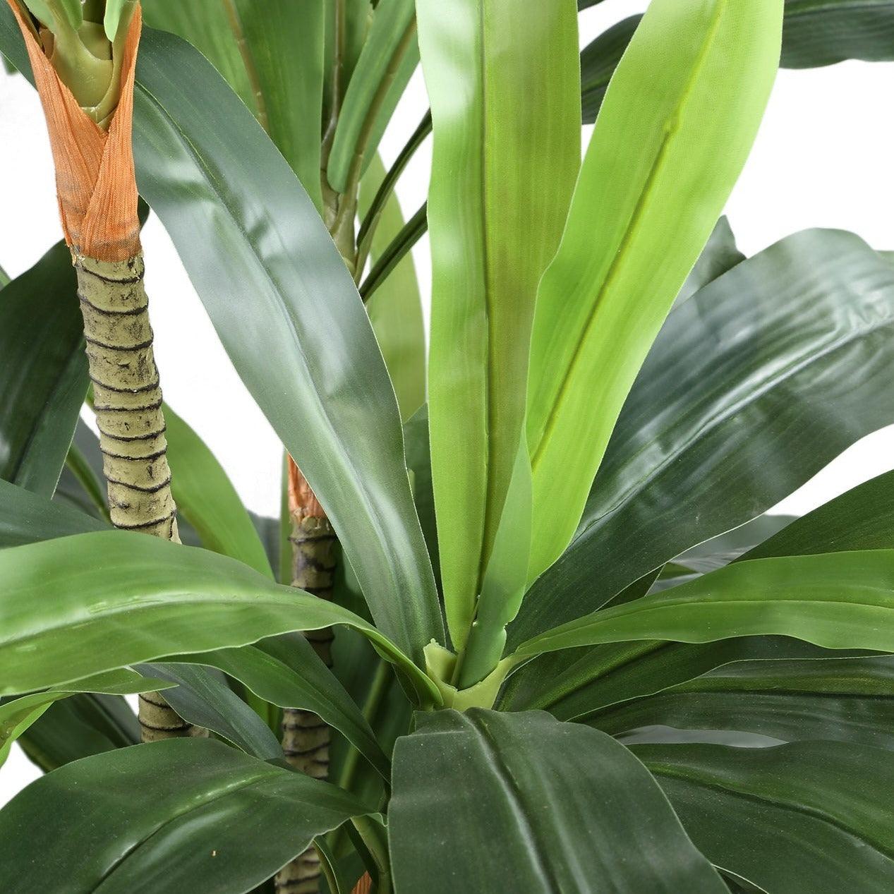 livinglovely.nl - Tree Green Dracaena in black pot PTMD - Kunstplant - PTMD - livinglovely.nl