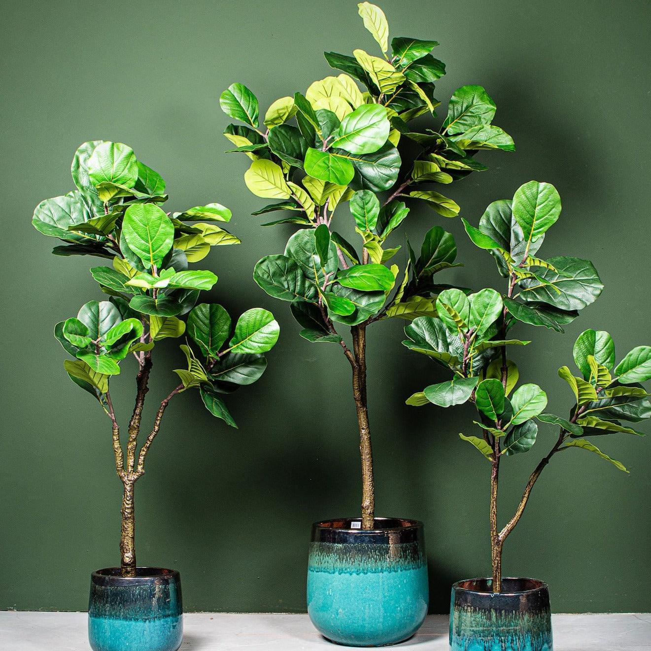 livinglovely.nl - Tree Green Fiddle Leaf Fig in black pot small PTMD - Kunstplant - PTMD - livinglovely.nl