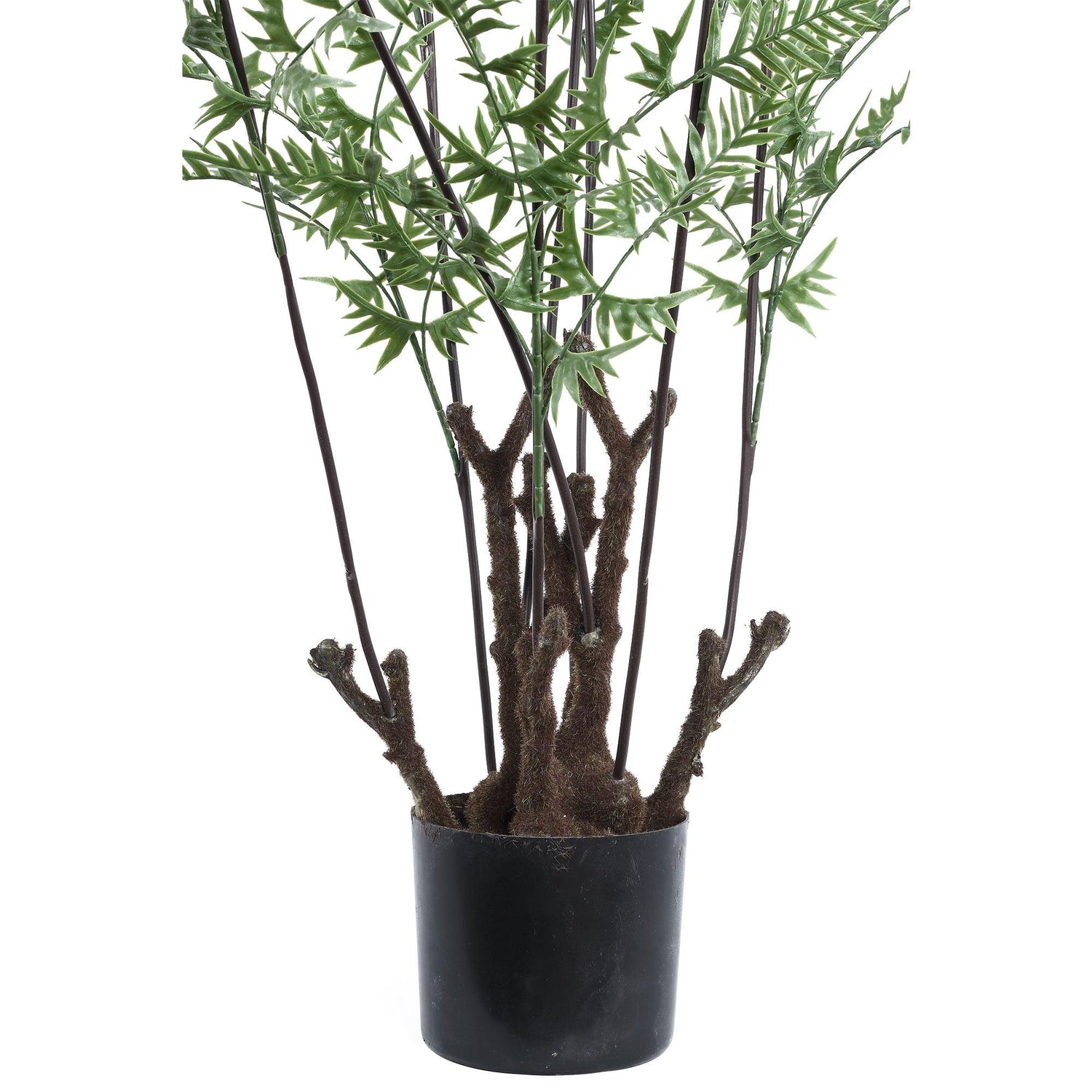 livinglovely.nl - Tree Green Horsetail Fernández in black pot Large PTMD - Kunstplant - PTMD - livinglovely.nl