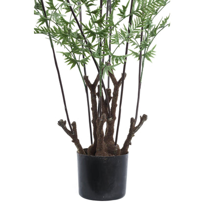 livinglovely.nl - Tree Green Horsetail Fernández in black pot Large PTMD - Kunstplant - PTMD - livinglovely.nl