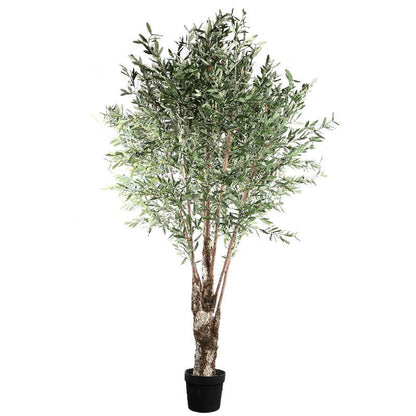 livinglovely.nl - Tree Green Olive Tree in plastic pot PTMD - Kunstplant - PTMD - livinglovely.nl