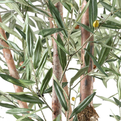 livinglovely.nl - Tree Green Olive Tree in plastic pot PTMD - Kunstplant - PTMD - livinglovely.nl