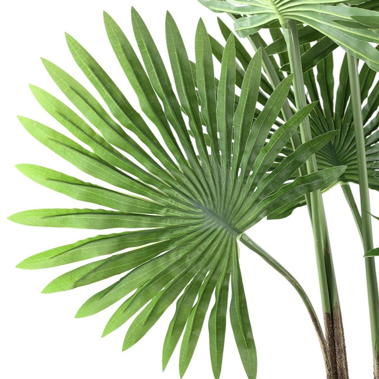 livinglovely.nl - Tree Green Palm Tree in black plastic pot PTMD - Kunstplant - PTMD - livinglovely.nl