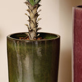 Madsen potten van PTMD in een woonsetting, donkergroene cilinderpotten met planten