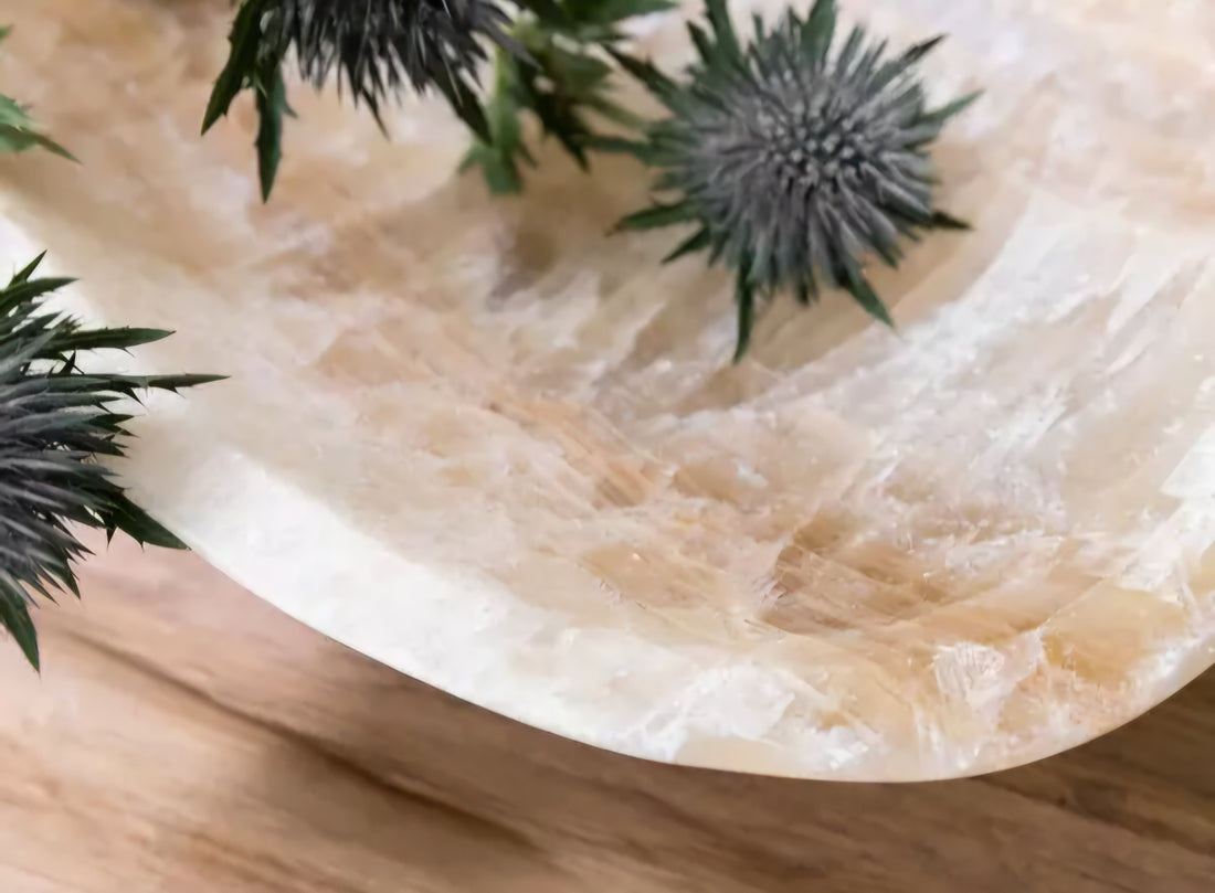 Must Living Schaal Bean - Schaal - MUST Living - livinglovely.nl