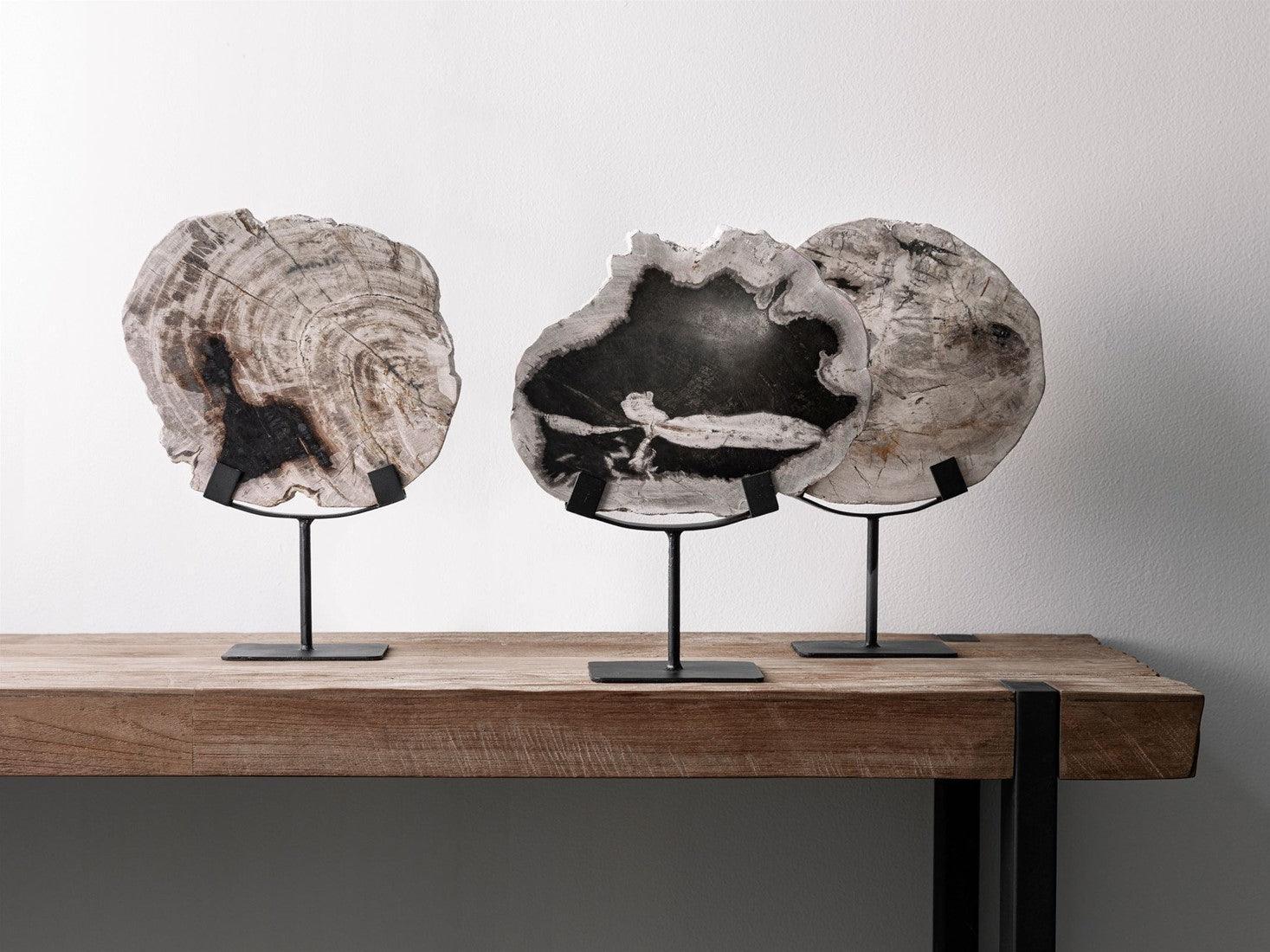 Must Living Statue Fossil - Ornament - MUST Living - livinglovely.nl