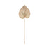 Must Living Wandblad Palm Small - Wanddecoratie - MUST Living - livinglovely.nl