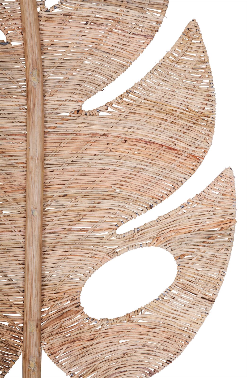 Must Living Wandblad Perzik Large - Wanddecoratie - MUST Living - livinglovely.nl