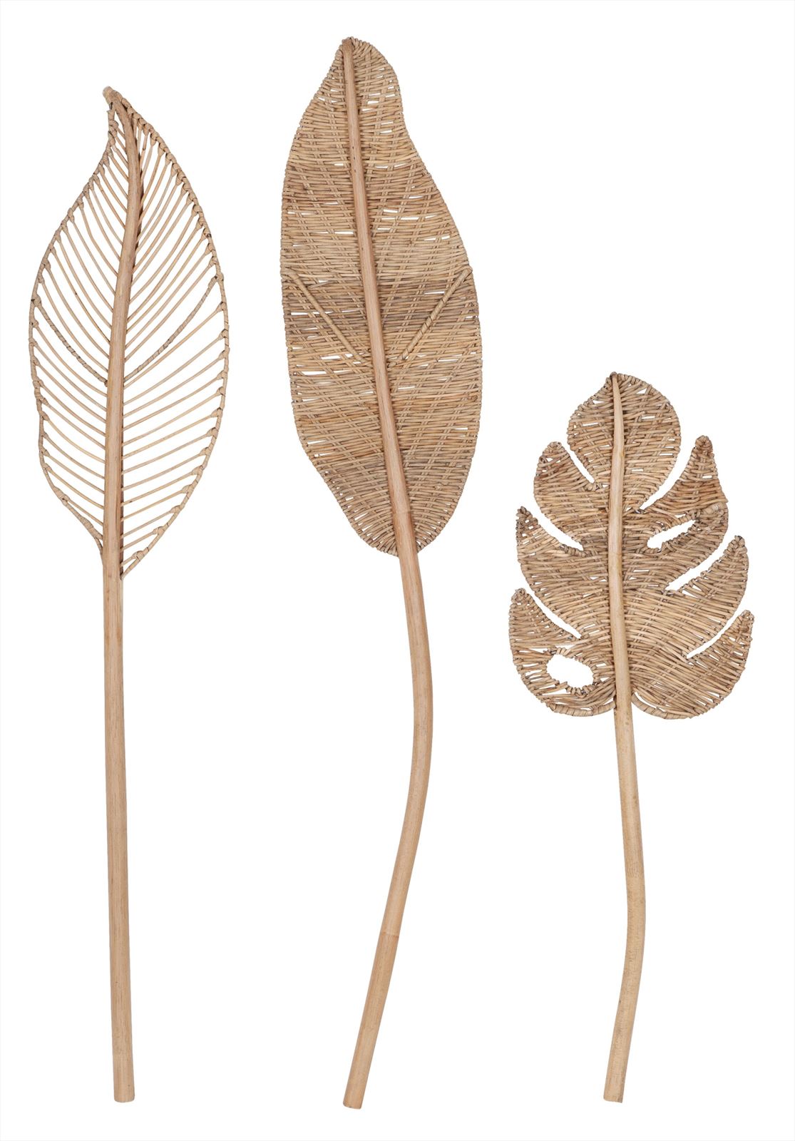 Must Living Wandblad Perzik Small - Wanddecoratie - MUST Living - livinglovely.nl