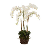 Orchidee In Aarde Plastiek Wit/Groen Extra Large L60cmb53cmh104cm - Kunstplant - J-Line - livinglovely.nl