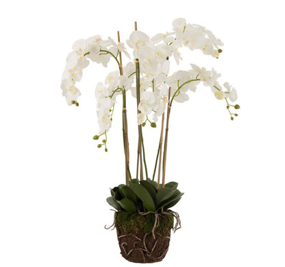 Orchidee In Aarde Plastiek Wit/Groen Extra Large L60cmb53cmh104cm - Kunstplant - J-Line - livinglovely.nl