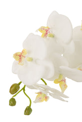 Orchidee In Aarde Plastiek Wit/Groen Large 32x32x75cm - Kunstplant - J-Line - livinglovely.nl