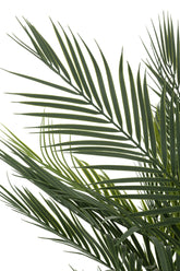 Palmboom In Pot Kunstmatig Groen 60x93x65cm - Kunstplant - J-Line - livinglovely.nl
