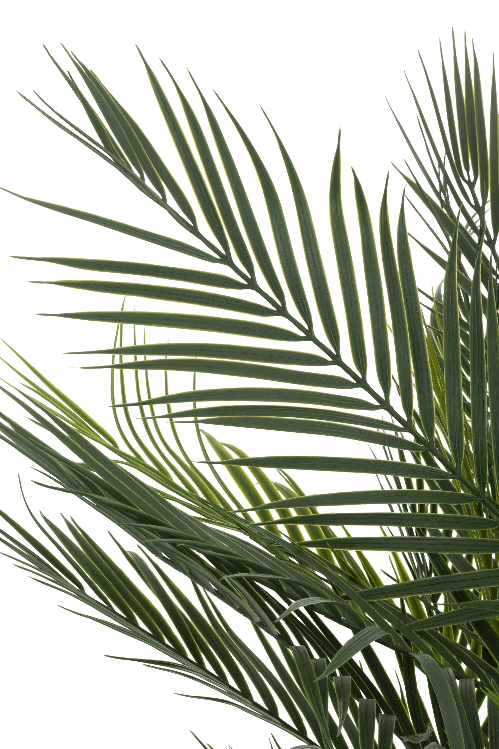 Palmboom In Pot Kunstmatig Groen 60x93x65cm - Kunstplant - J-Line - livinglovely.nl