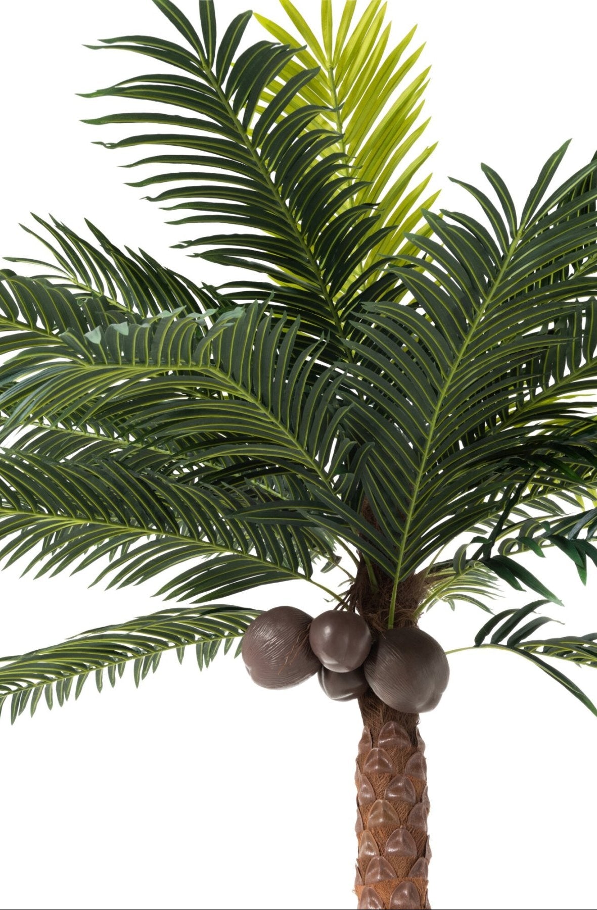 Palmboom Met 4 Kokosnoten In Pot Kunststof Groen H350cm J-Line