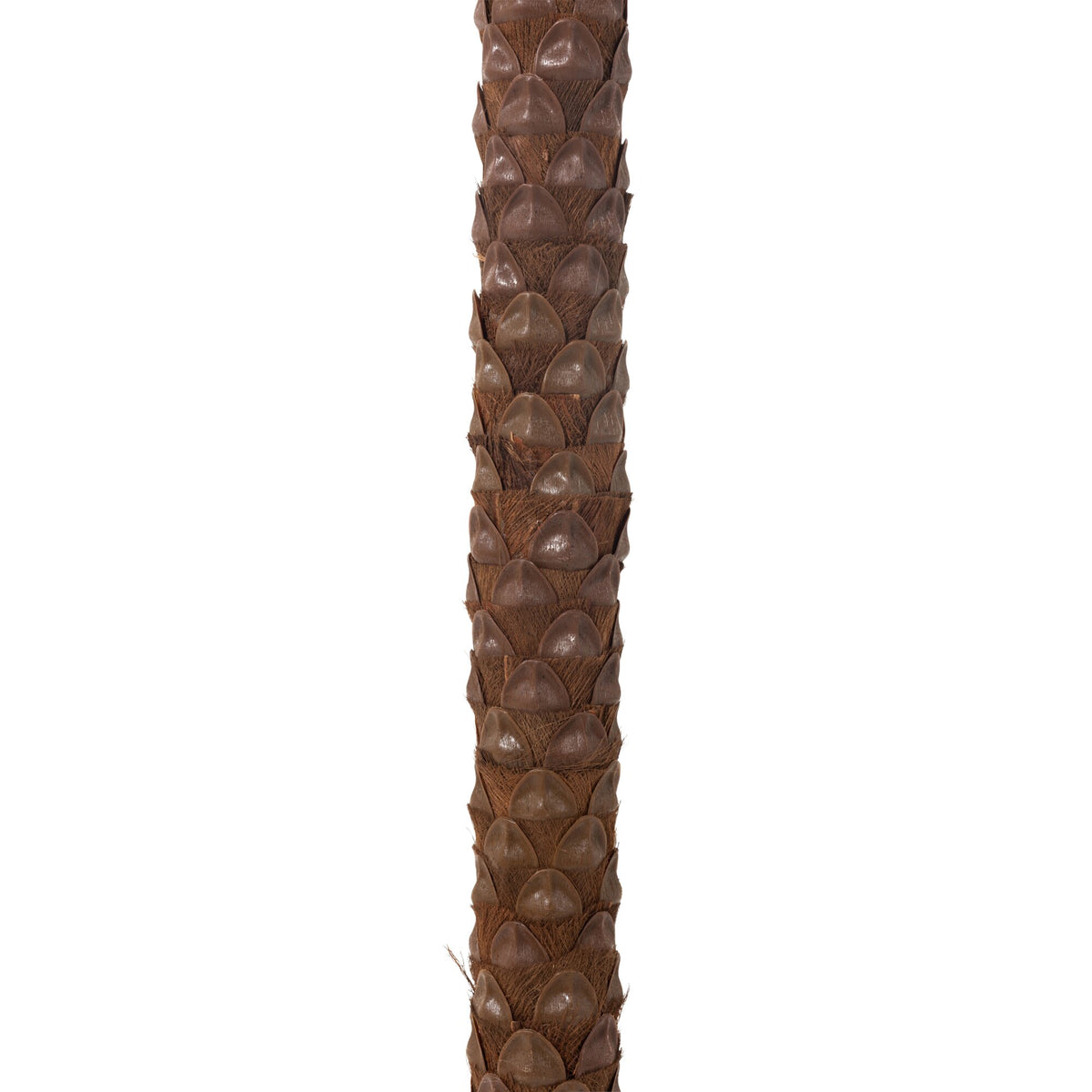 Palmboom Met 4 Kokosnoten In Pot Kunststof Groen H350cm J-Line