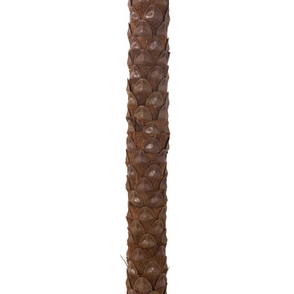 Palmboom Met 4 Kokosnoten In Pot Kunststof Groen H350cm J-Line